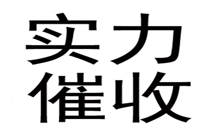 债务诉讼强制执行无资金偿还的应对策略